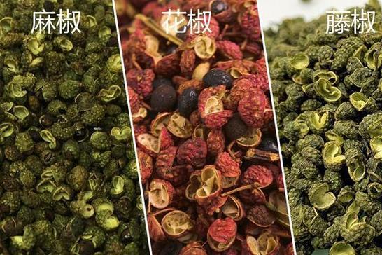 藤椒是麻还是辣？一文揭示真相！