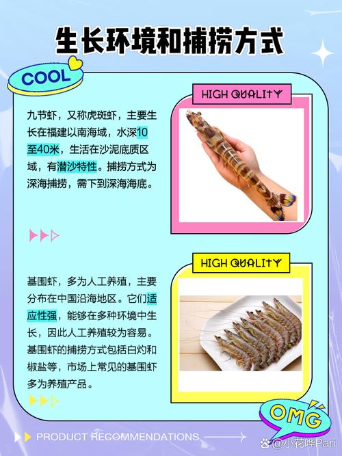 同样是虾，九节虾跟基围虾有什么区别？建议分清楚，再买也不迟