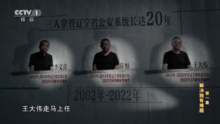 “空降”辽宁的副省长，被免职