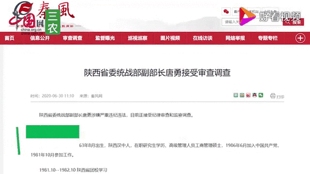 唐勇中将被撤销全国政协委员资格