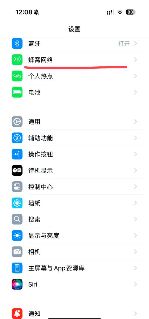 【苹果手机】如何打开漫游功能！