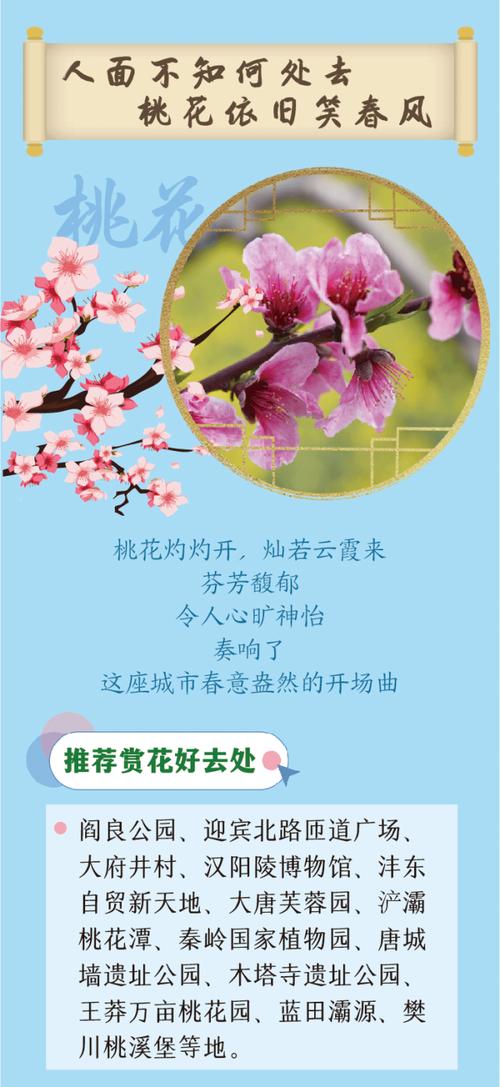 把春日浪漫涮进锅里！樱花不等人，美味不过旬~