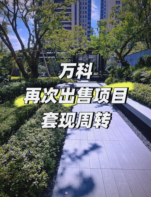 碾压周边二手房！万科‘上然’成香港楼市黑马，首付比深圳还低？