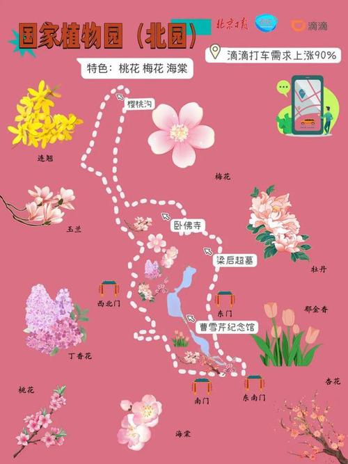 2025年花开北京赏花地图发布！214处赏花片区邀您赏