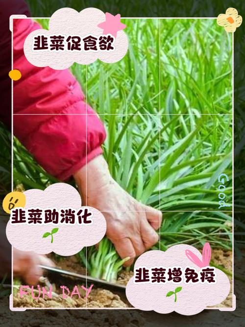 美食 第74页