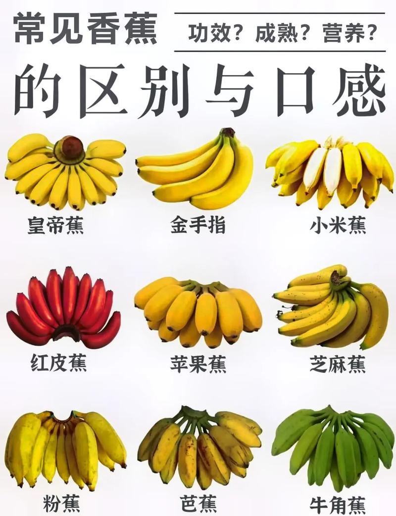 原来香蕉要这样挑！老果农都不敢说的秘密，看完省下一半钱