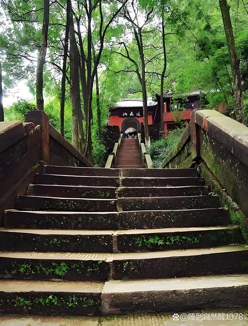 乐山大佛的景太美了，俯瞰江景，手机记录这一刻的宁静