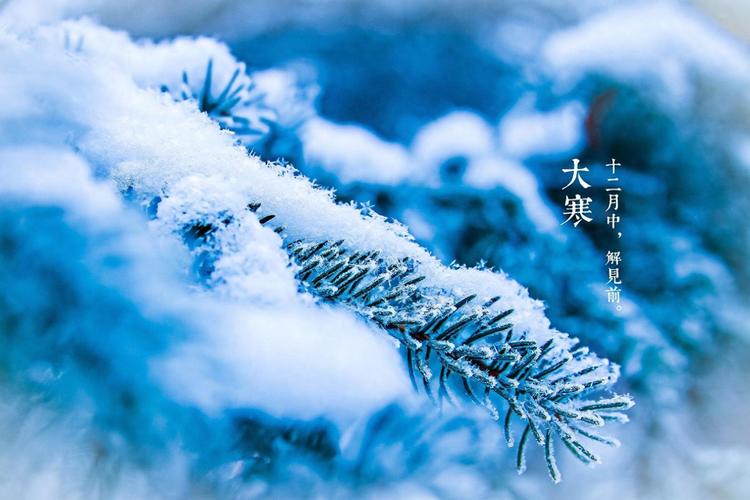 餐饮倒春寒，其实早从春节就已经埋下种子，餐饮人，早已无回头路