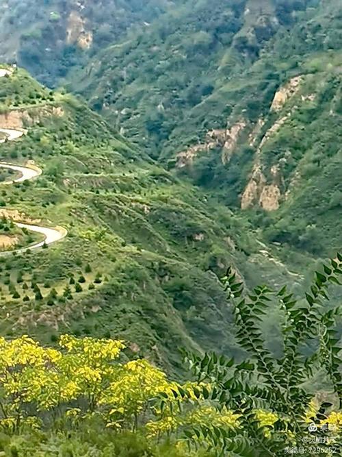 旅游 第99页