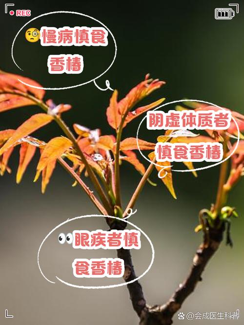 春天一定要吃的5种"芽"错过再等一年！别不信