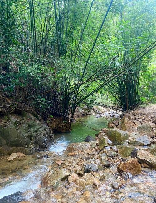 肇庆羚羊峡古道驴行