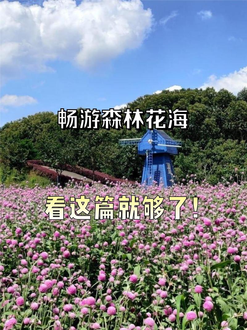 大通湖区北洲子镇：春日花海 西游奇缘 桃林音乐会 农文旅融合催生“花经济”