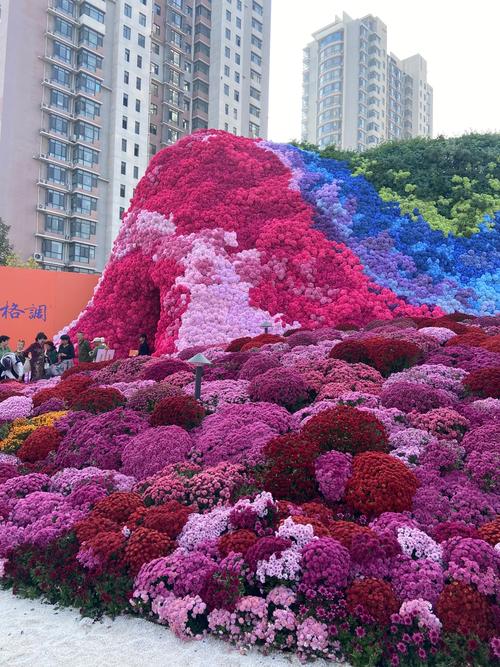 快来打卡！孟津这个地方开启赏花顶流