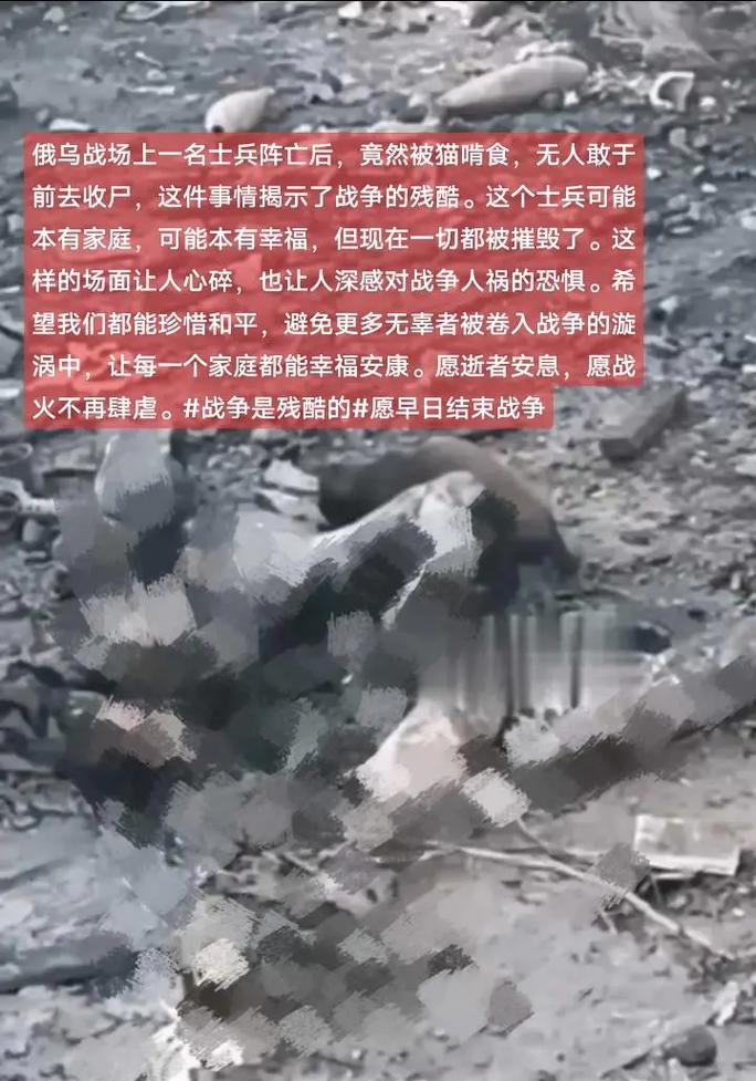 俄乌战场惊现"不死战士"3名俄军遭乌军围攻：血战40天无一阵亡