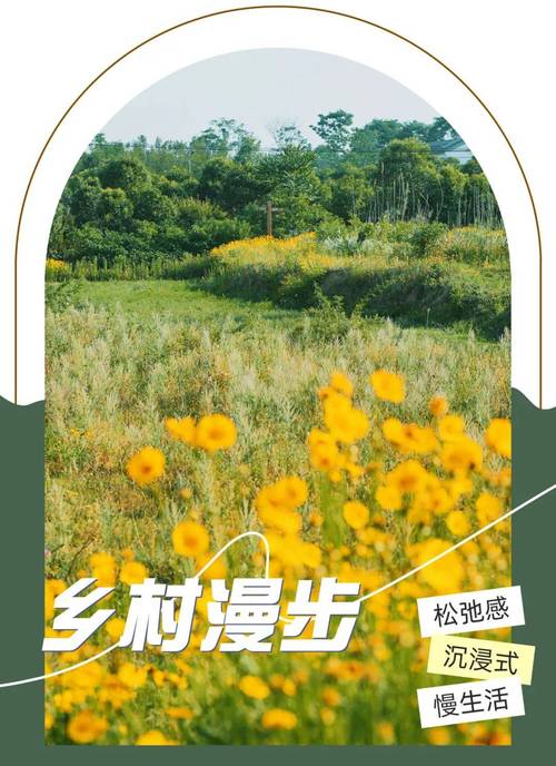 第一书记·第一发现｜Country Walk乡村里的松弛感
