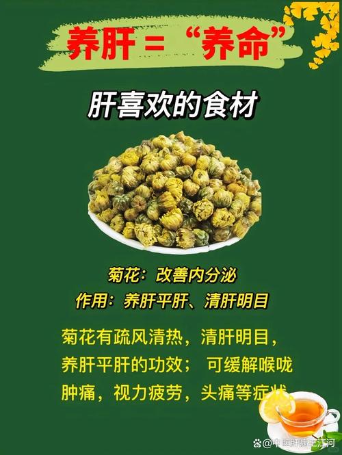 不是苦瓜和菊花，这3菜才是清肝降火 高手”阳气升发，躁气重