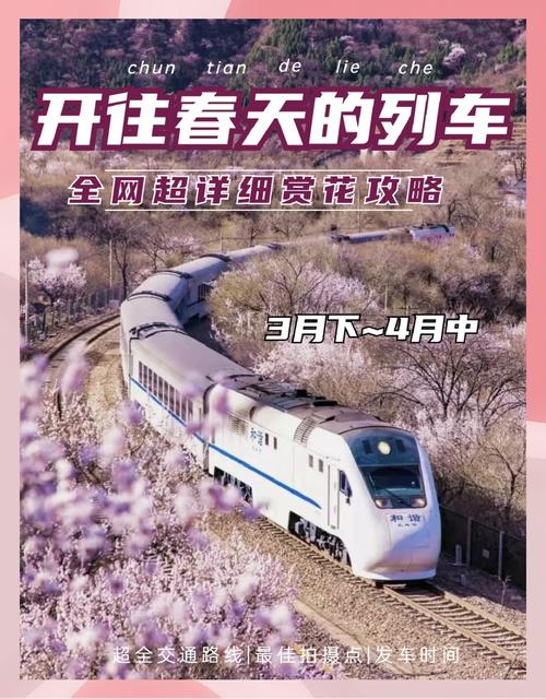 周末来一场说走就走的短途赏花行 京津冀互邀三地市民赴“花约”