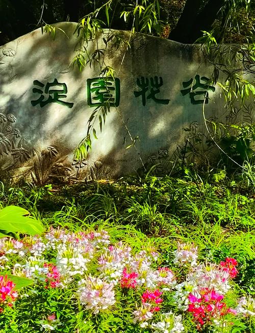 必打卡！海淀这里藏着“江南的春”