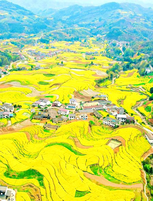 汉中油菜花这几个地方，你一定要来！