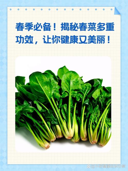 春天，这菜使劲吃，一强骨骼、二眼睛明亮、三强免疫，鲜嫩别错过