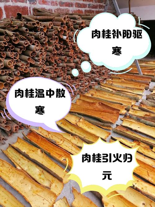 肉桂用火烤一烤，没想到这么厉害，用了3天就管用，看完记得收藏