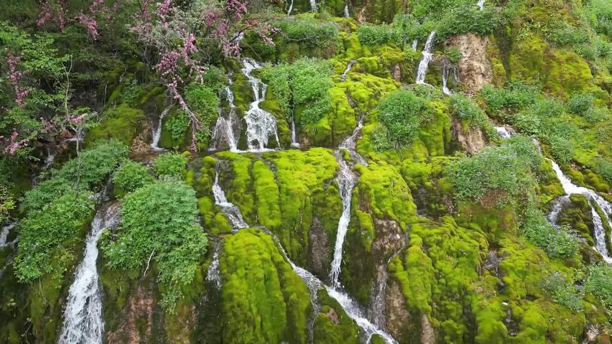 互助北龙山景区开园迎客