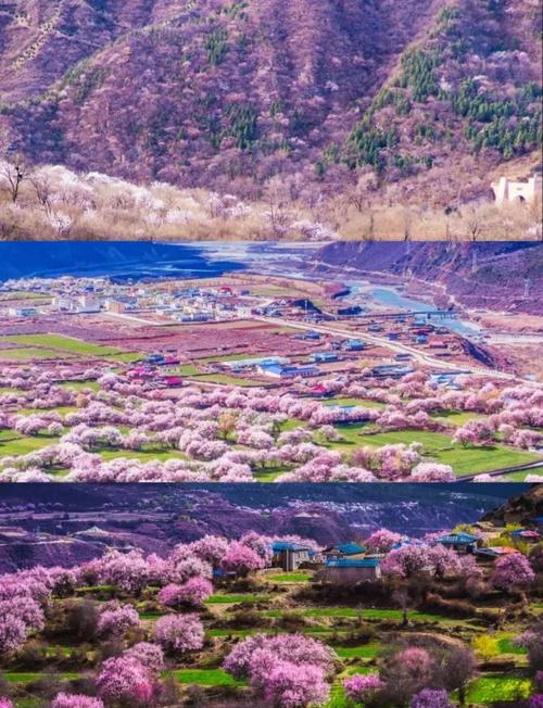 西藏的春天是多变的，在4000多海拔的色季拉山口偶遇下雪和日出