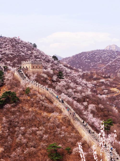 北京黄花城长城春季风光
