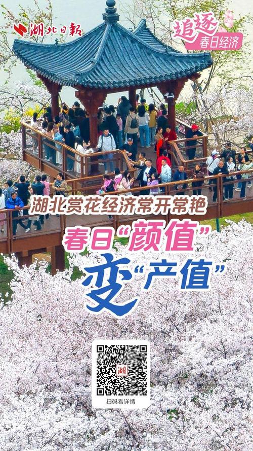 汉台：赏花经济”让“颜值”变“产值”