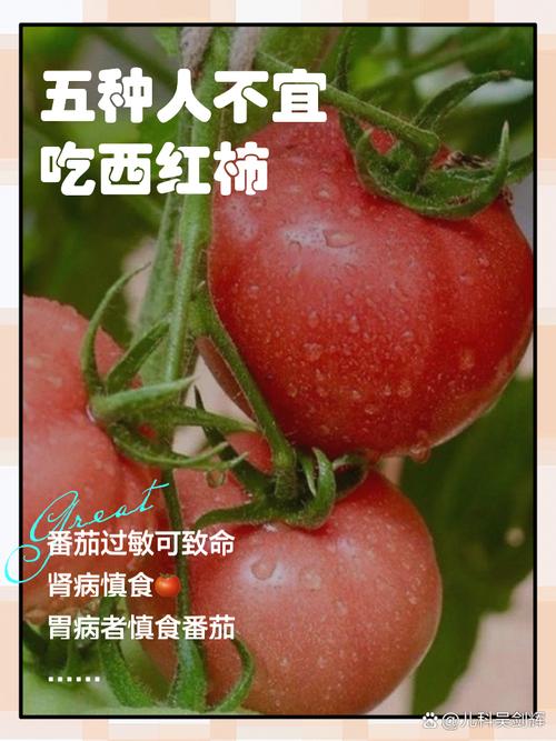 注意：这4种番茄不能吃，一定要叮嘱家人忌嘴！别不当回事