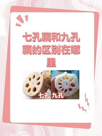 买莲藕时，要分清7孔和9孔，学会这4个辨别方法，老板也夸你内行