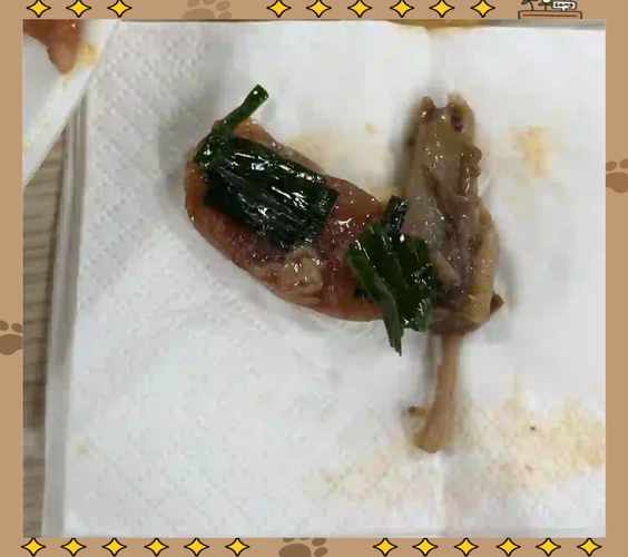 碗中惊现赛博异物，这届食材在搞行为艺术！