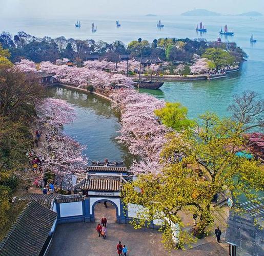 3月29日早七点前的无锡太湖鼋头渚门口 新春园林 无锡 鼋头渚