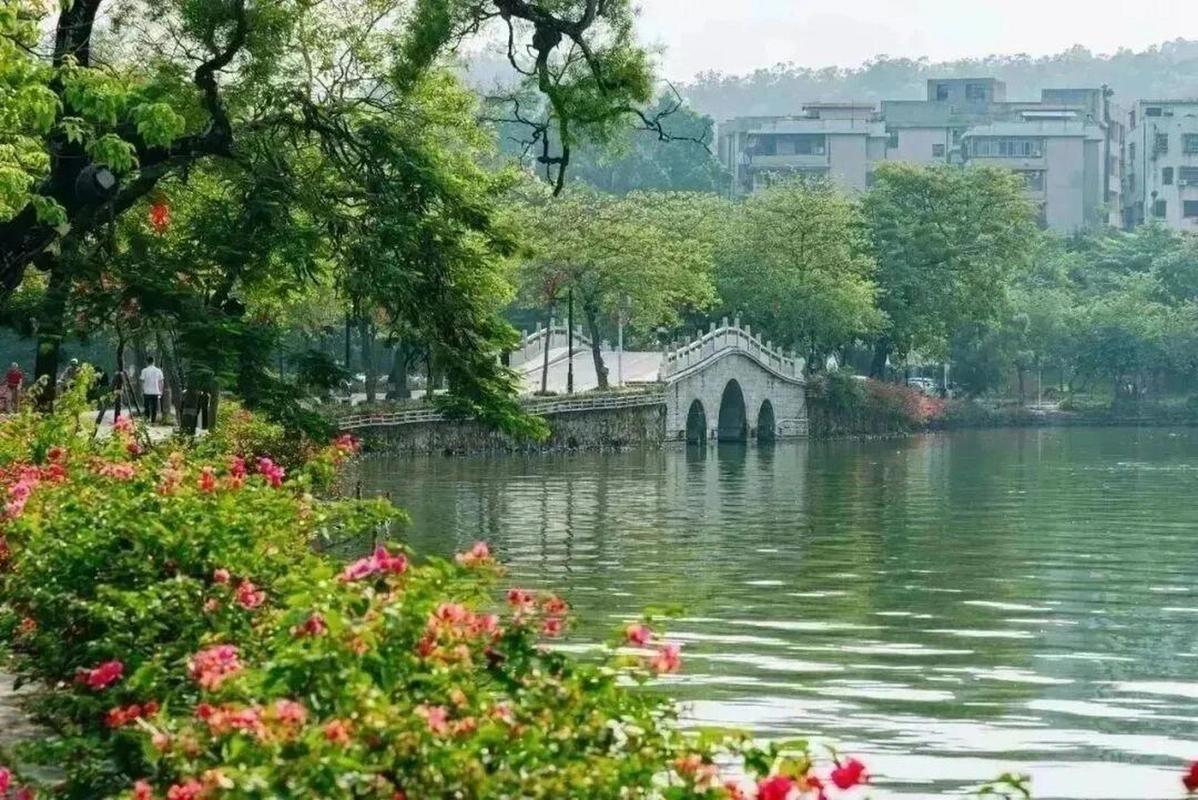 美在惠州丨惠州西湖百花映春