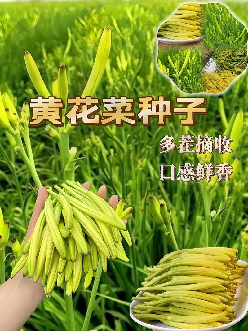 春芽正当时！这5道黄金菜助娃蹿高个，错过再等一年！