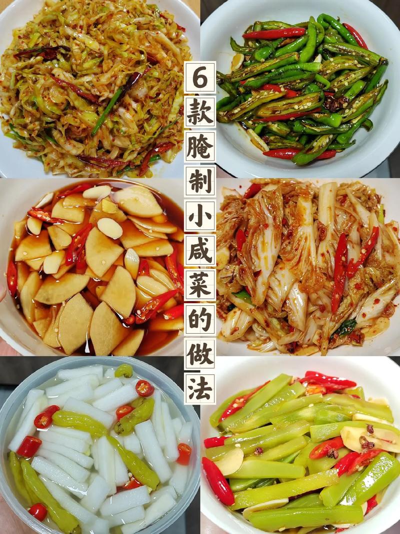 推荐十三款腌咸菜，早餐主菜正餐开胃菜都适合，美味好吃健康开胃