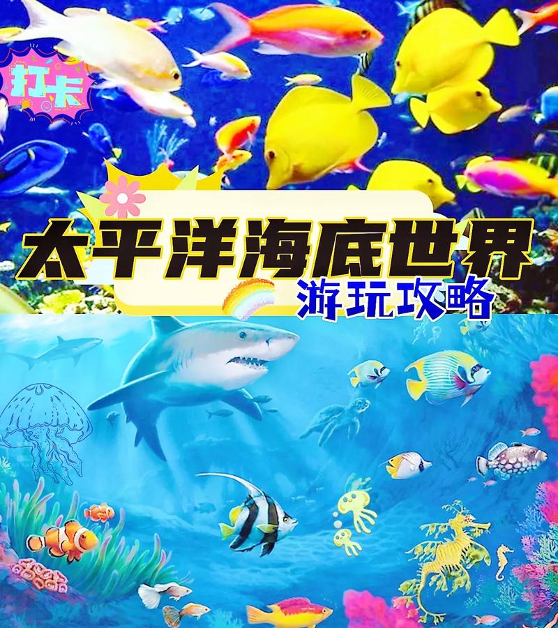北京三大海洋馆春天一定要来太平洋海底世界 亲子游玩好去处