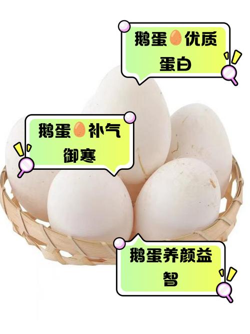 鹅蛋为什么很少有人吃？也很少有卖？看完后才知道，涨知识了！