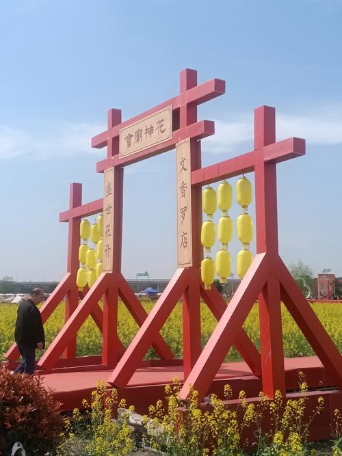 2025罗店花神节，盛况空前，花海人潮！