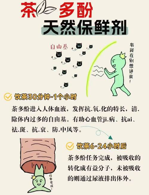 为什么要喝茶，这7张图带你了解茶进入身体之后