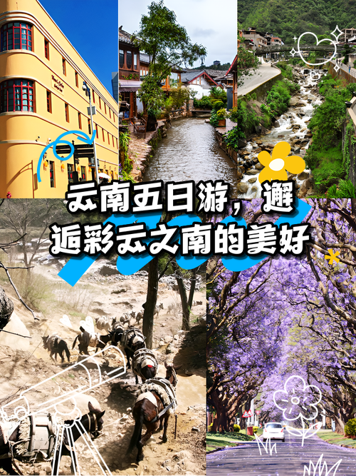 旅居云南丨移居“春之城”追梦“彩云南”
