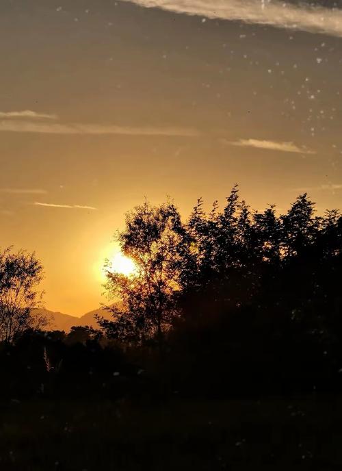 乡村美景：夕阳西下，余晖洒满天空，树影婆娑，静谧美好