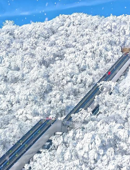 实拍！汉中多地迎来降雪！