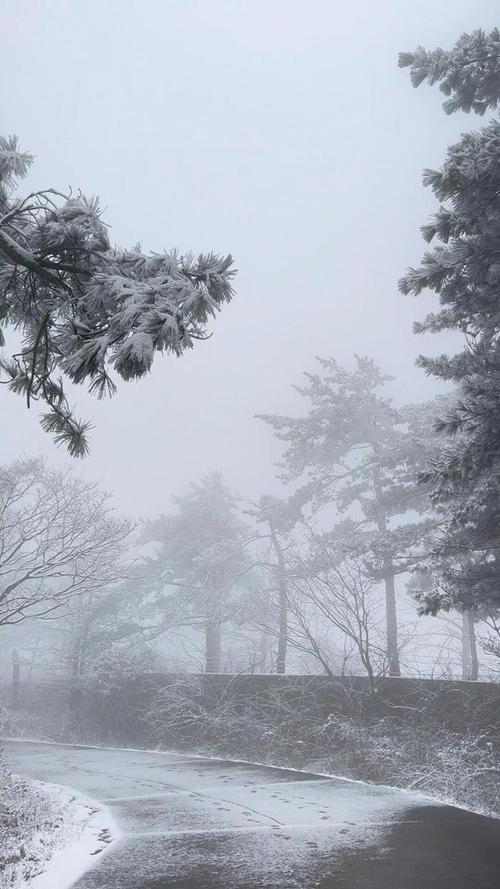 花都开败了你给我说下雪了？3月28日晚上#四明山 又给干上了雪