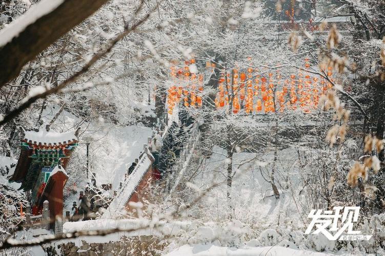 再降春雪！五台山景区梦幻“换装”
