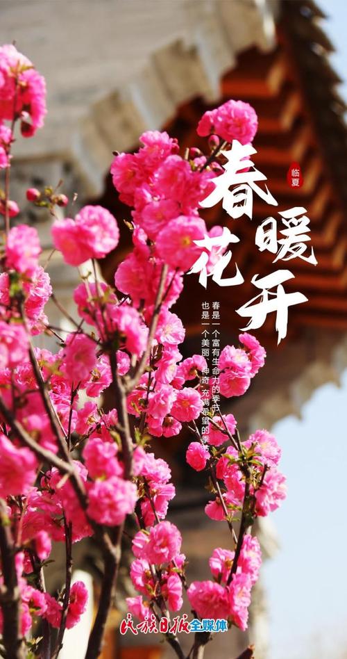如诗如画春意盎然！春暖花开奔你而来