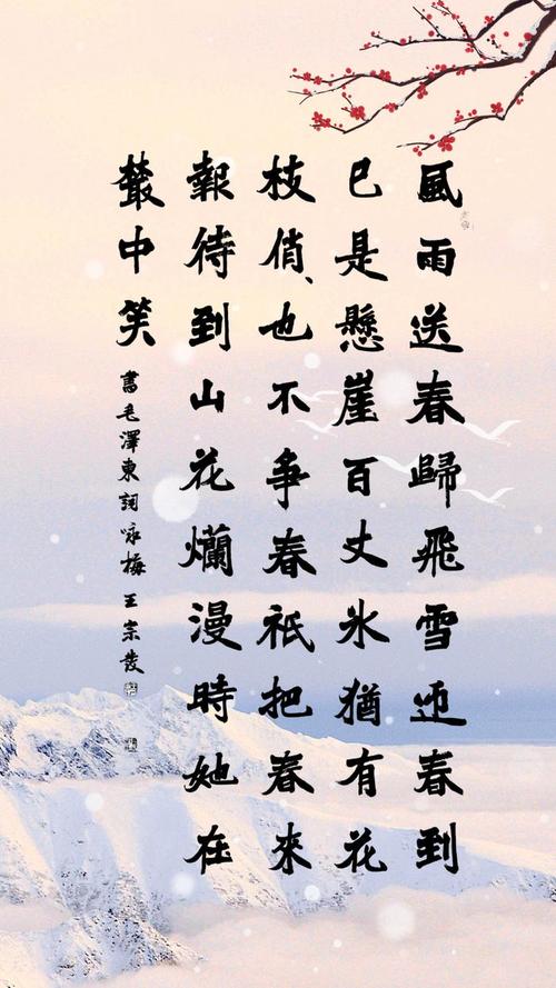 “一半春色一半冬”今天，万州又下雪了！