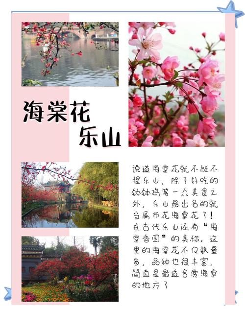 成都周边1h，被问爆的春日花田徒步，0门票、超小众、很出片！