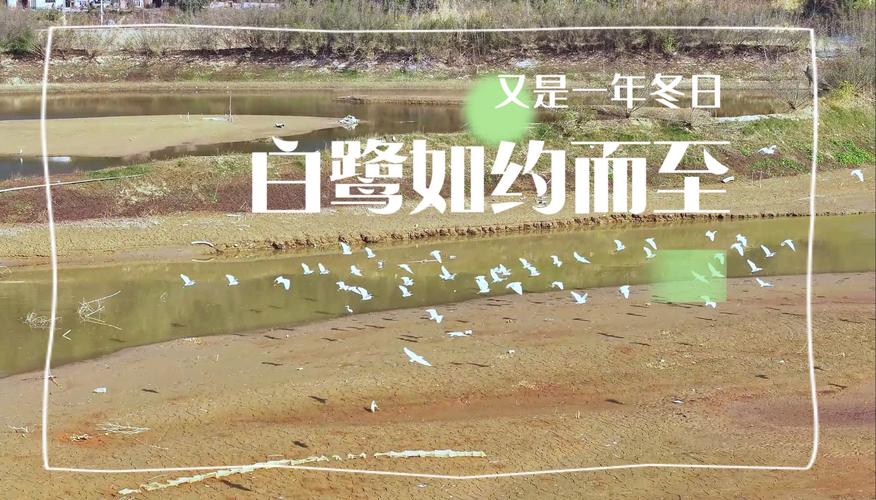 3月28日开园！白鹭洲解锁新疆春日顶流：沙海相间，错过等一年！