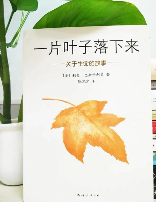 香江茗苑如何用一片叶子讲述中国故事？